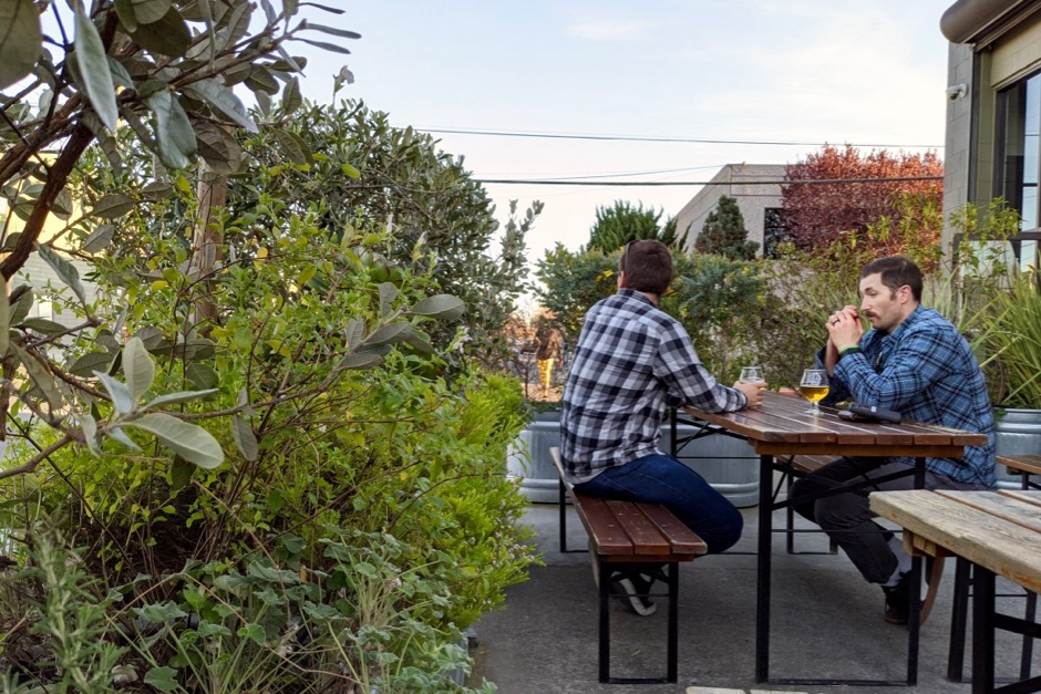 Fieldwork Patrons on Patio