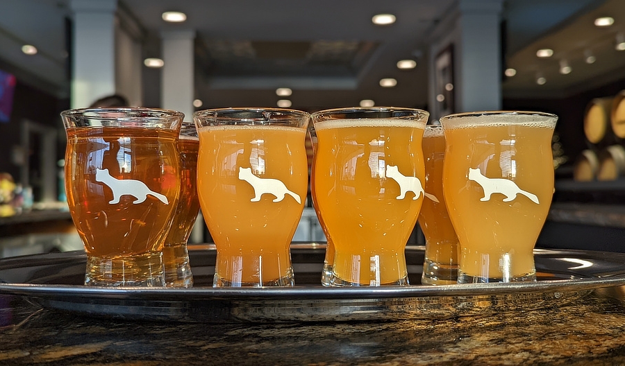 Mellow Mink Flight